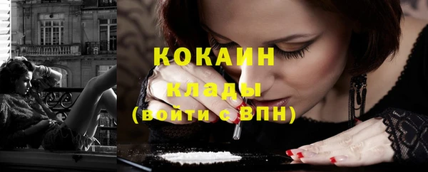 стаф Россошь