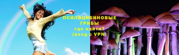 индика Аркадак