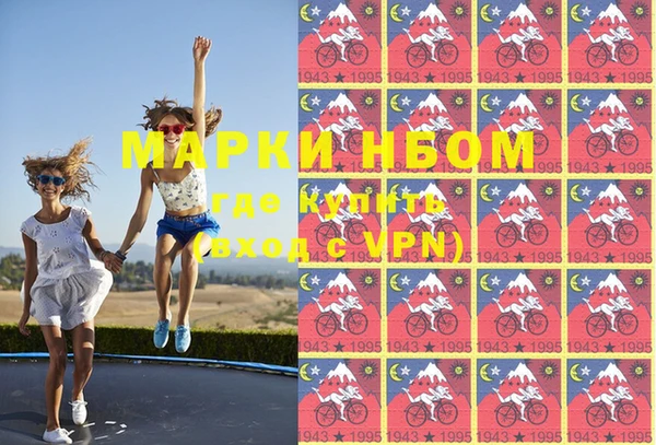 индика Аркадак
