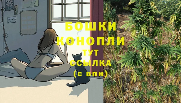 PSILOCYBIN Армянск