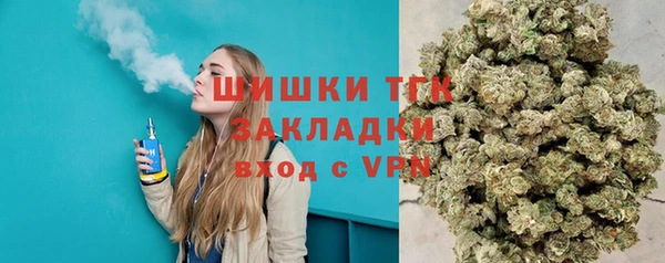 индика Аркадак