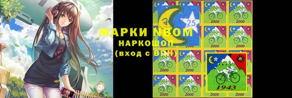 индика Аркадак