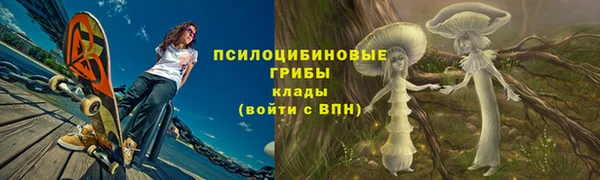 индика Аркадак