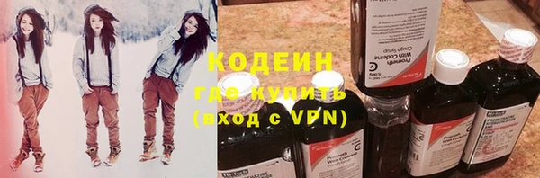 индика Аркадак