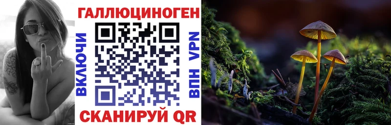 блэк спрут как войти  купить наркотики сайты  Калач  Галлюциногенные грибы прущие грибы 